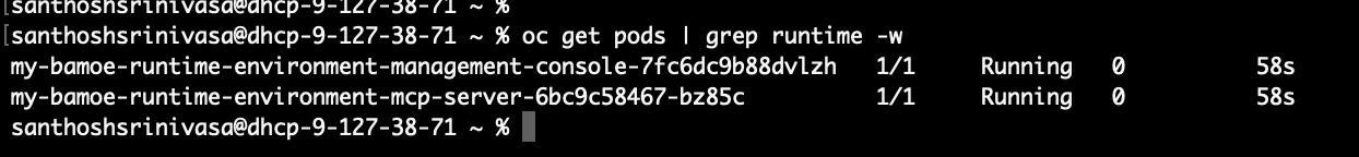 Runtime Environment pods running on OpenShift