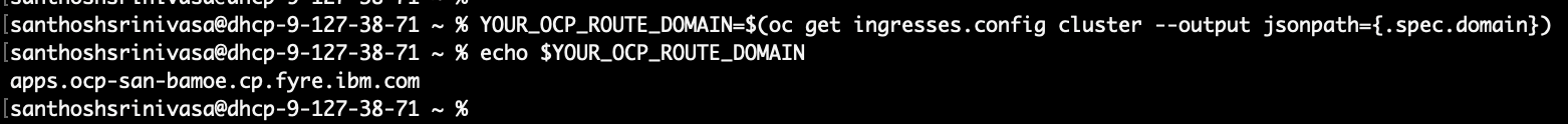 Capturing the OpenShift wildcard route domain