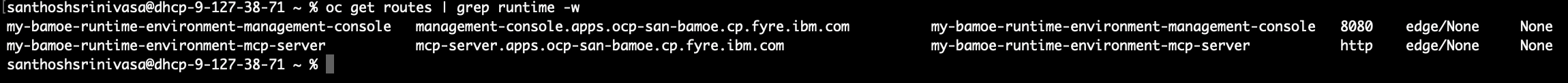 Runtime Environment OpenShift routes