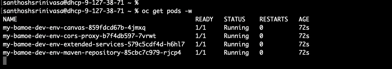 Dev Environment pods running on OpenShift