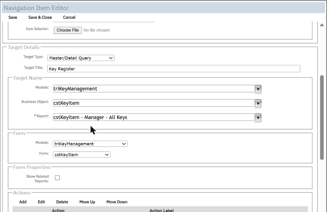 Navigation Item Editor: Master/Detail Query on our query and form.
