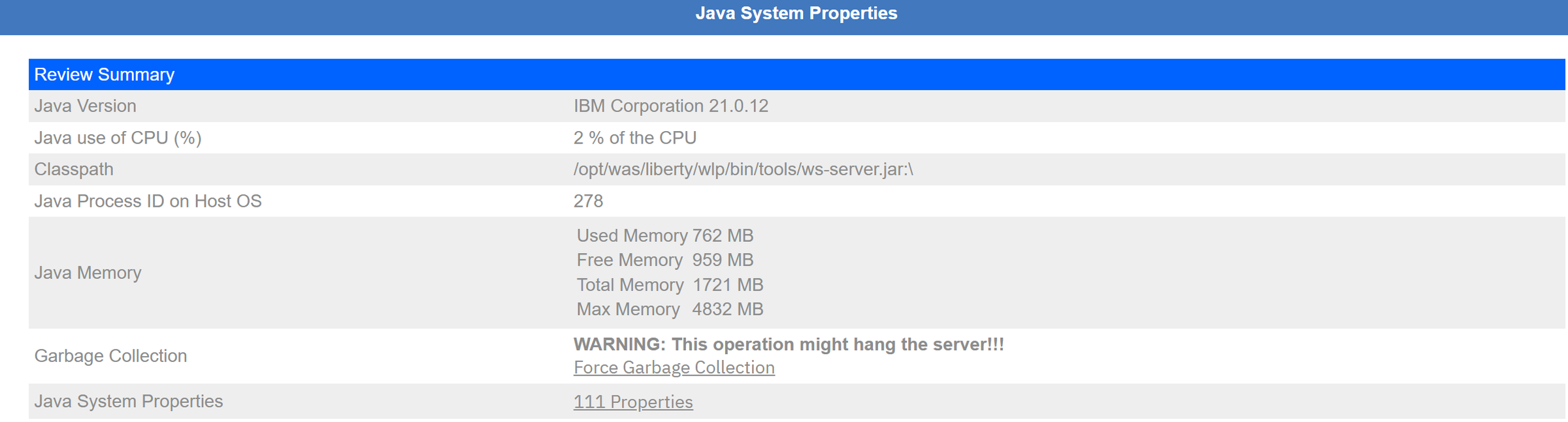 JVM version, CPU, heap and the Java system properties.