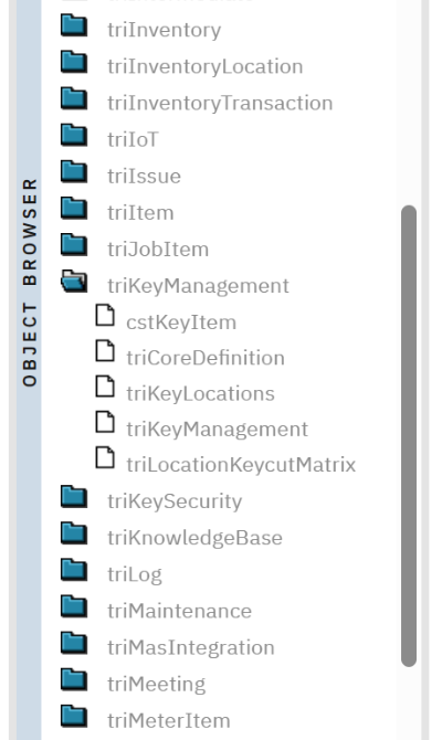 Data Modeler: the triKeyManagement module and its objects, including our new cstKeyItem.